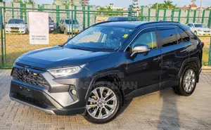 Toyota RAV4 2020 Gray