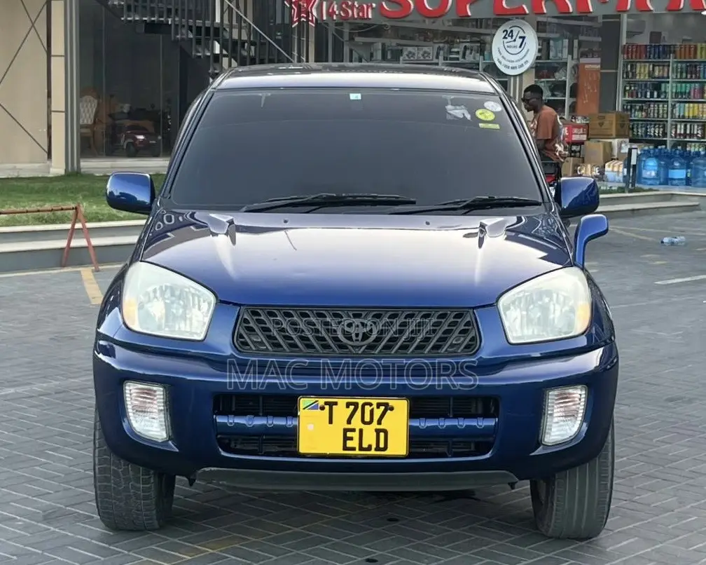 Toyota RAV4 2004 Blue
