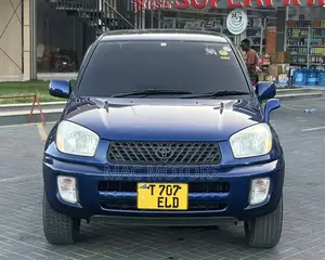 Toyota RAV4 2004 Blue