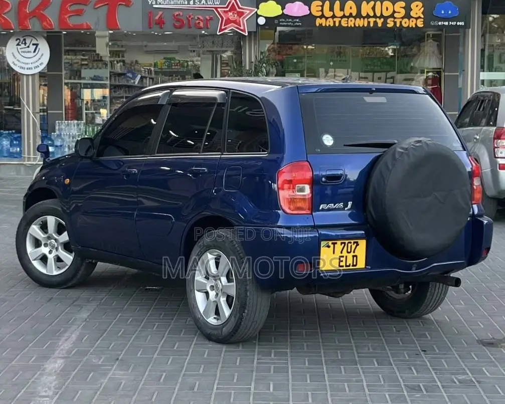 Toyota RAV4 2004 Blue