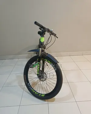 Renault Tanda Owl Bicycle 2023