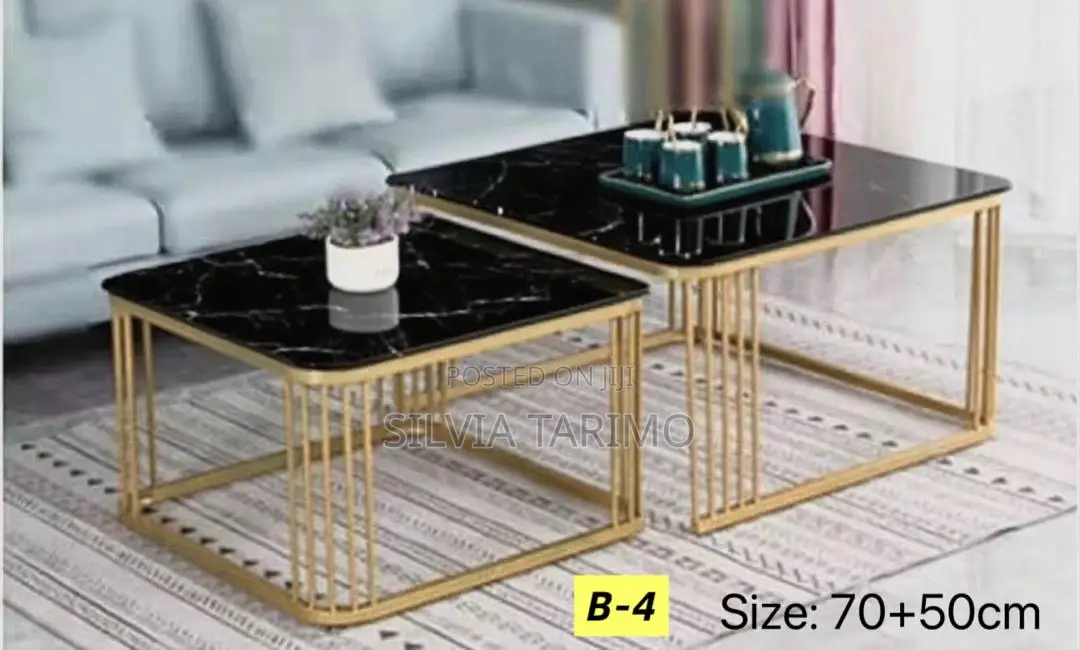 Coffee Tables (2in1)