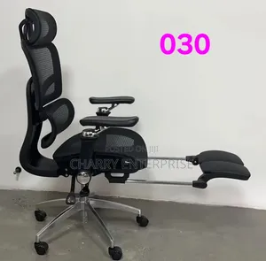 Ergonomic Office Chair With Headrest, Adj Lumbar Support and Footrest