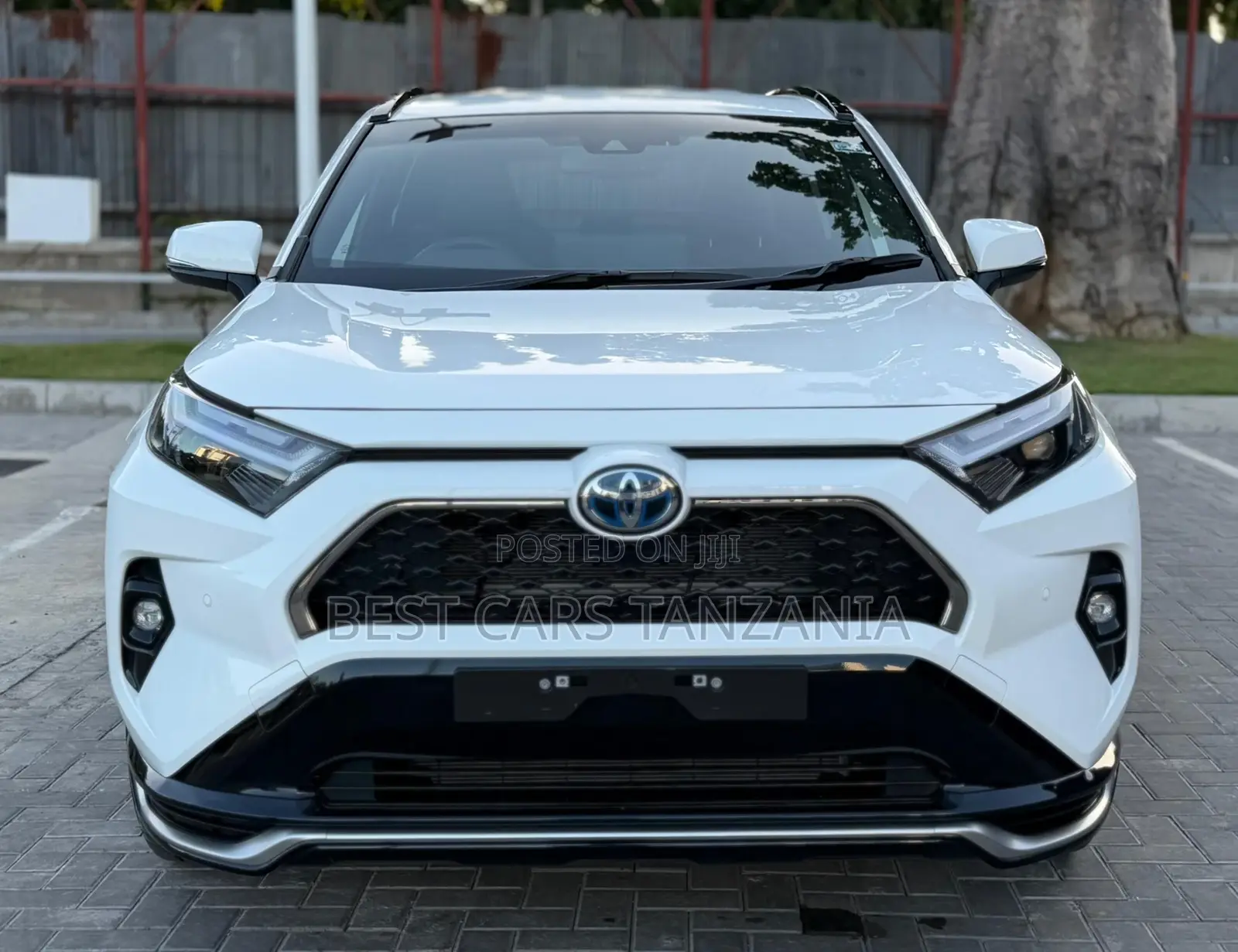 Toyota RAV4 2025 Pearl
