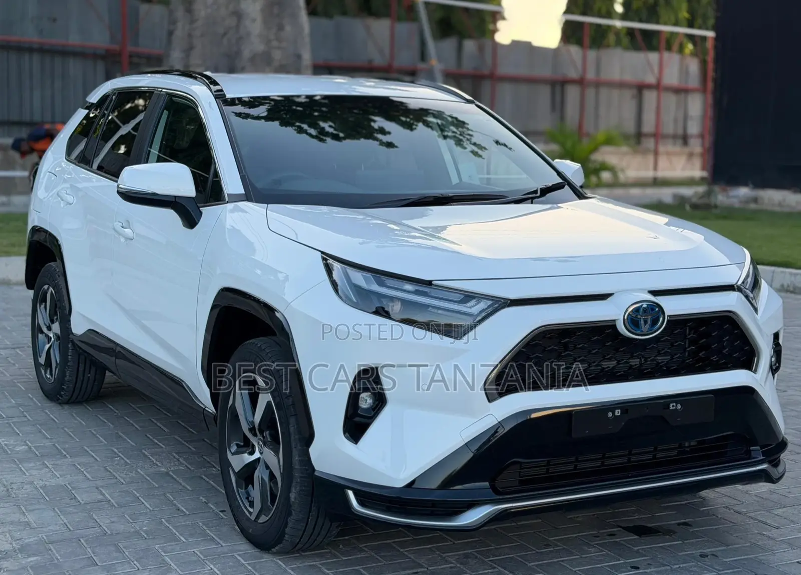 Toyota RAV4 2025 Pearl