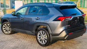 Toyota RAV4 2021 Gray