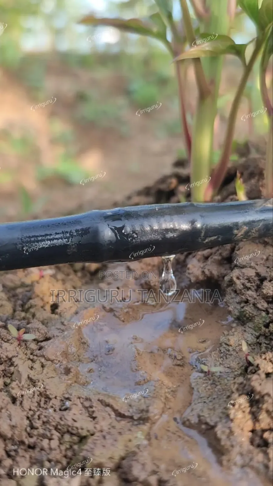 Flat Pipes Irrigation