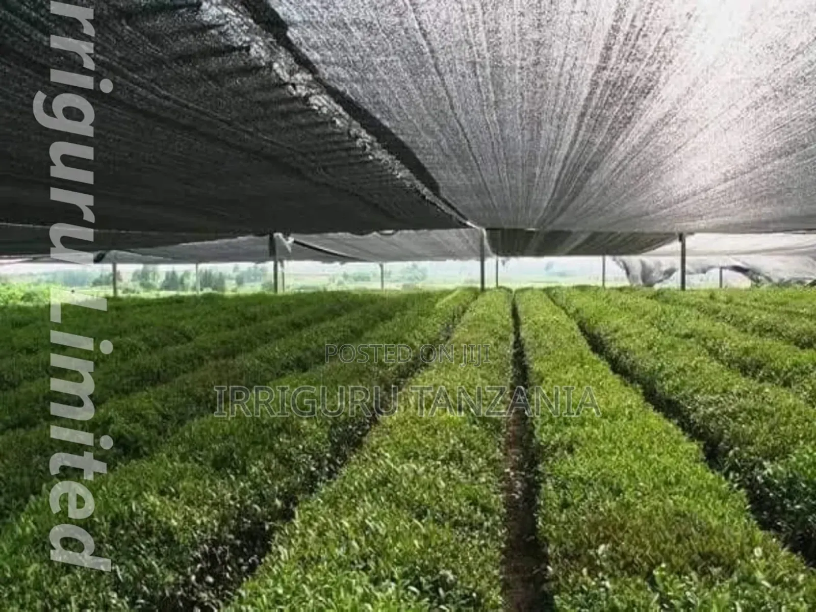 Irrigation Nets