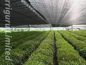 Irrigation Nets