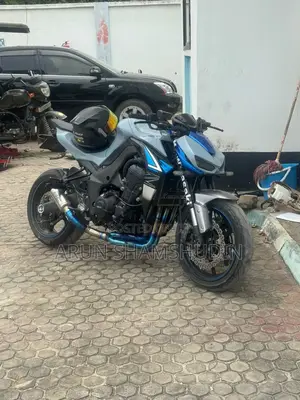 Kawasaki Z900 2018 Gray