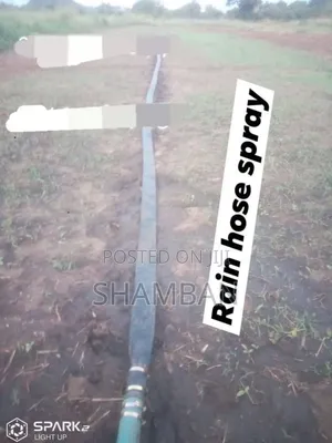 Rain Hose Spray