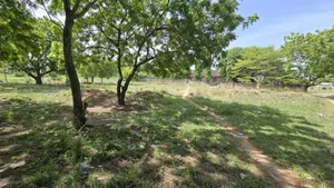 Plot for Sale at Salasala 2350 SQM