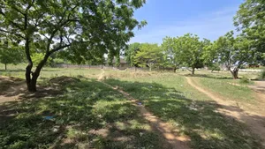 Plot for Sale at Salasala 2350 SQM