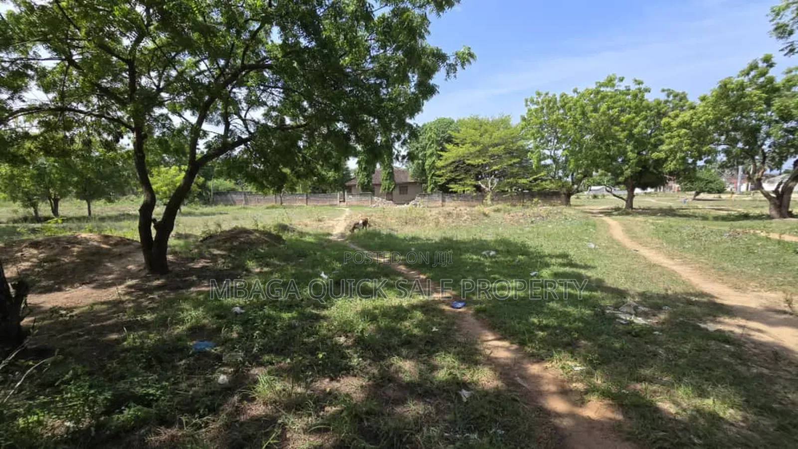 Plot for Sale at Salasala 2350 SQM