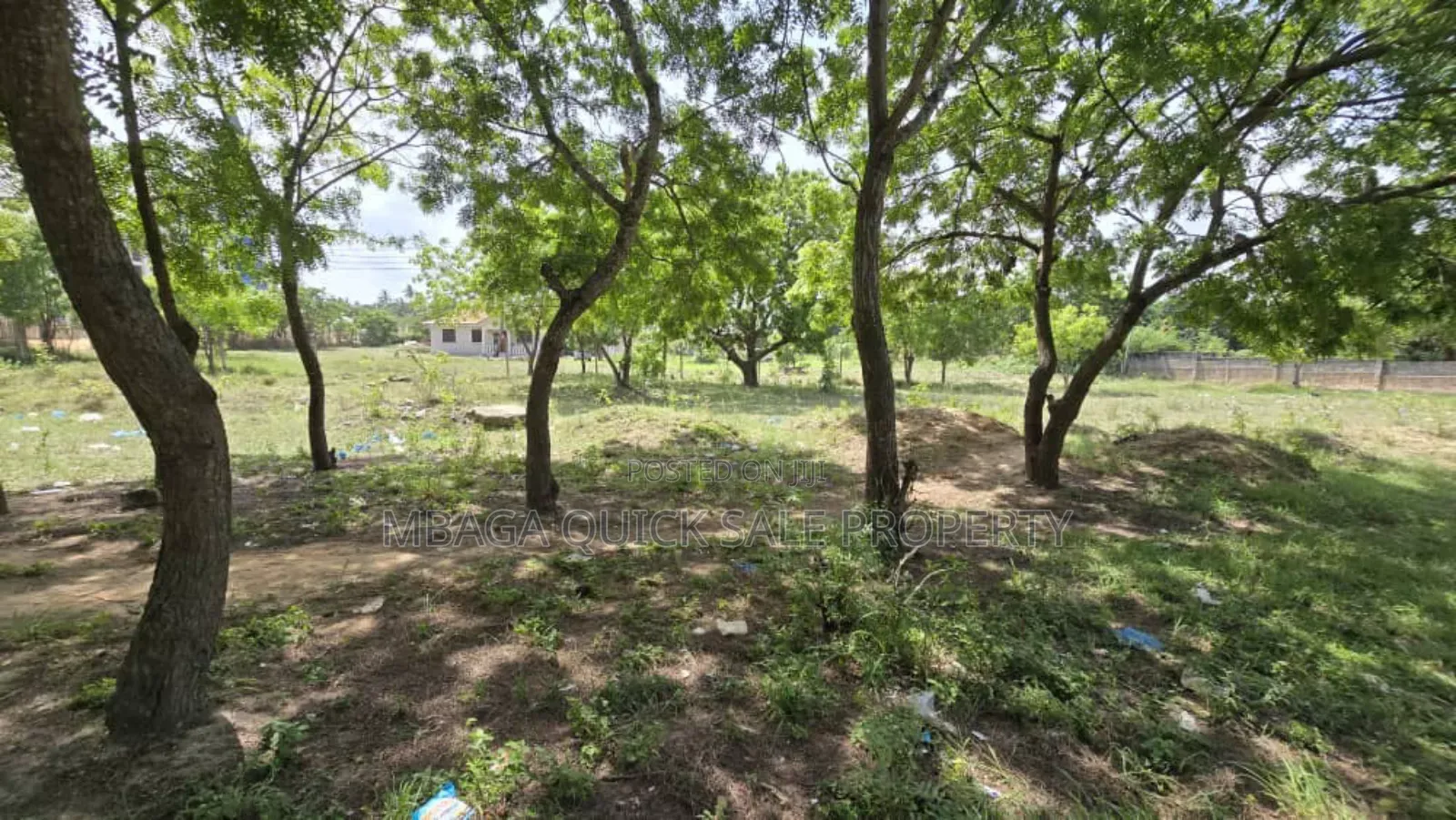 Plot for Sale at Salasala 2350 SQM