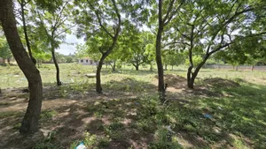 Plot for Sale at Salasala 2350 SQM