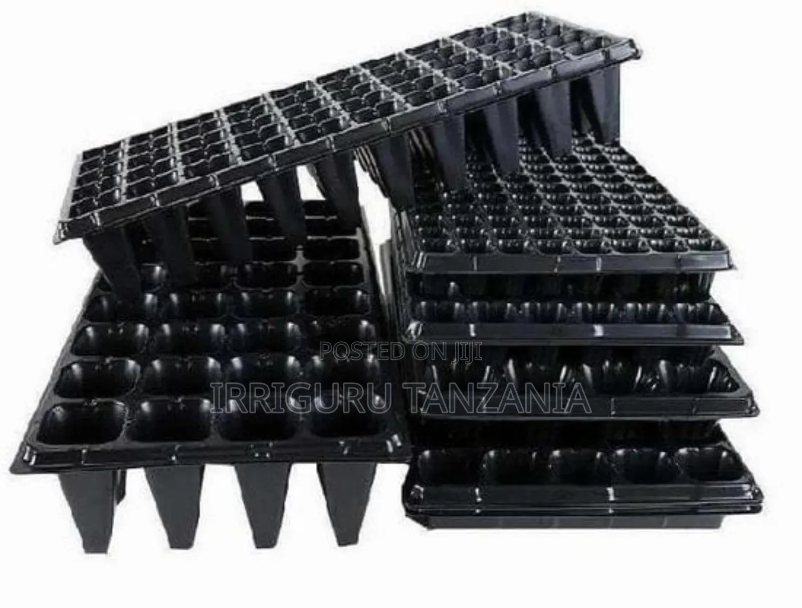 Seedling Trays Irrigation