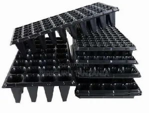 Seedling Trays Irrigation