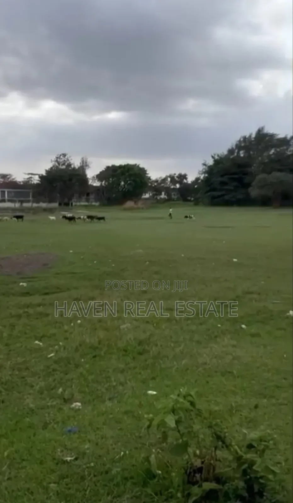*Themi Industrial Area for Sale in Njiro, Arusha
