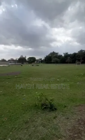 *Themi Industrial Area for Sale in Njiro, Arusha