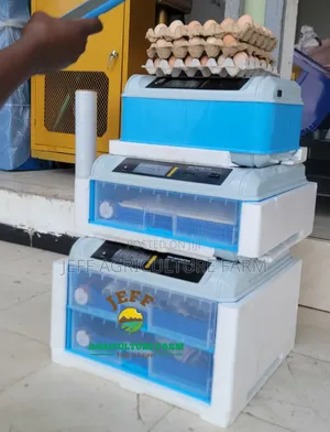 Incubator Mayai 70 Blue