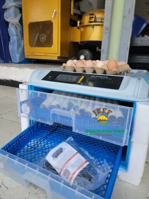Incubator Mayai 70 Blue