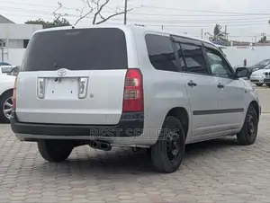 Toyota Succeed 2007 Silver