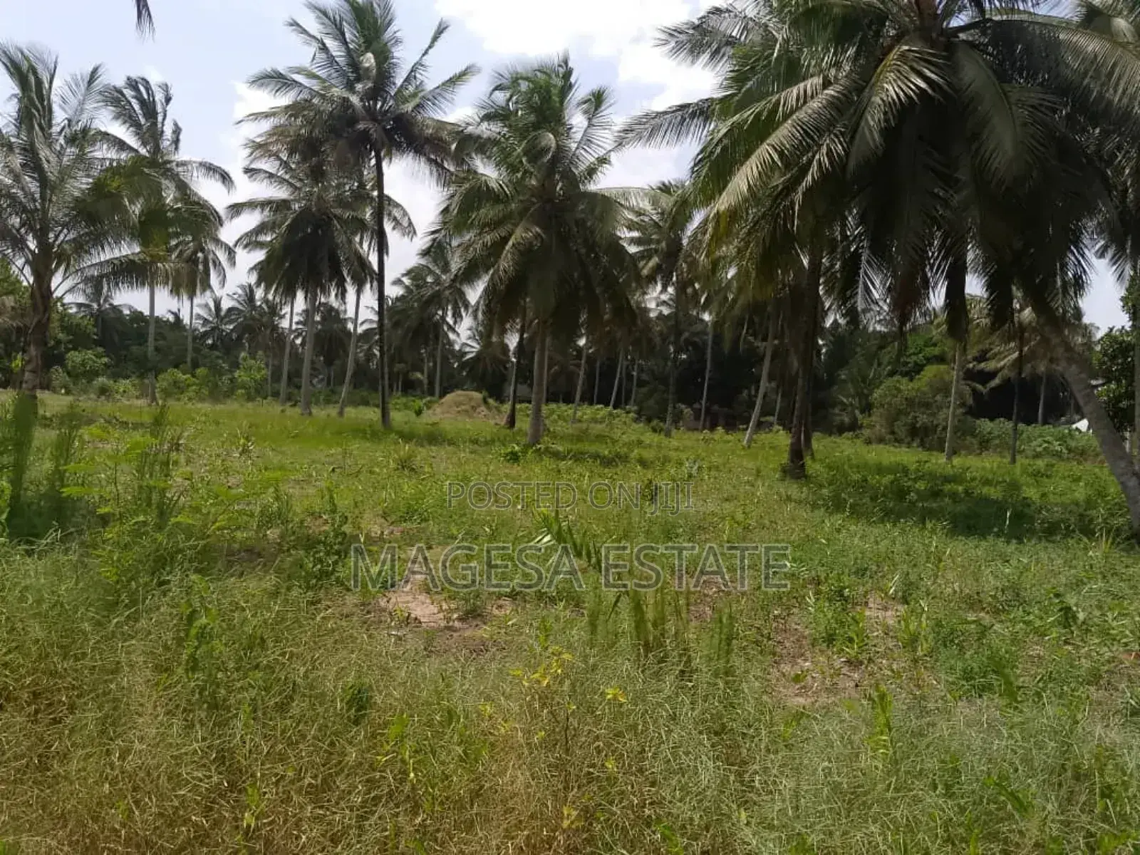 Land for Sale in Mkuranga Pwani