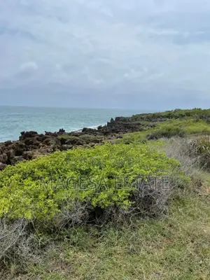 Beach Plot for Sale Kigamboni, Mbutu