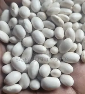 White Beans Non Gmo(Maharage Meupe)