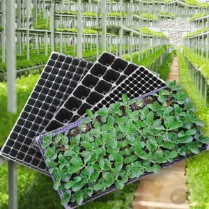 Irrigation Trays