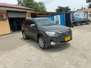 Toyota Vanguard 2010 Gray