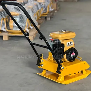 Plate Compactor Robin