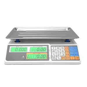 Meat Scale