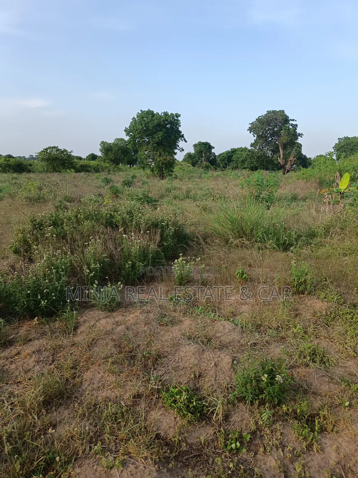 Beach Plot for Sale, Just Walking Distance to the Beach.