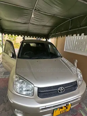 Toyota RAV4 2005 Gold