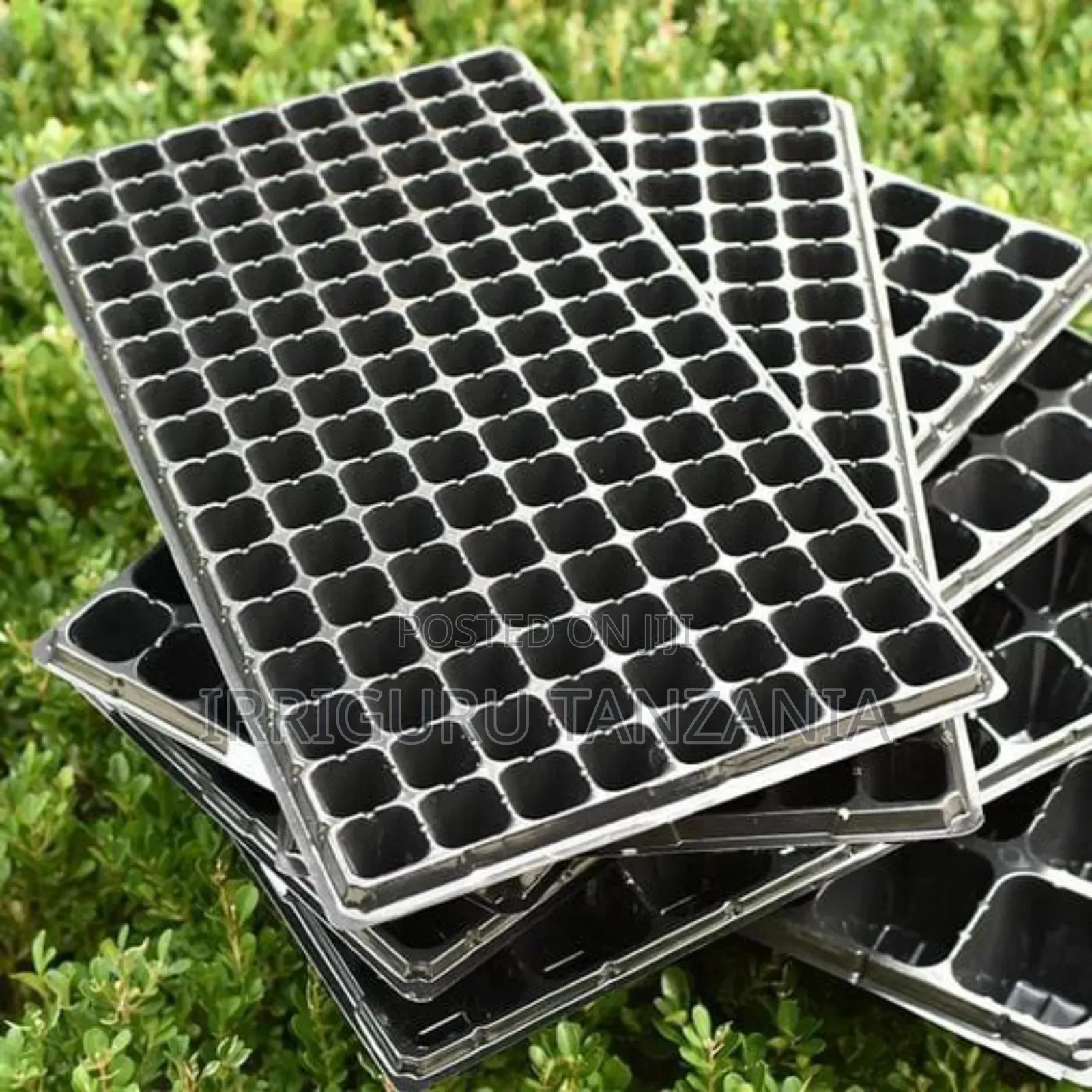 Seed Planter