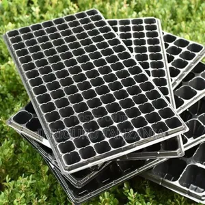 Seed Planter