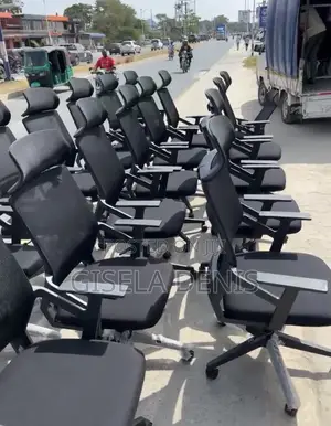 Ergonomic Chair