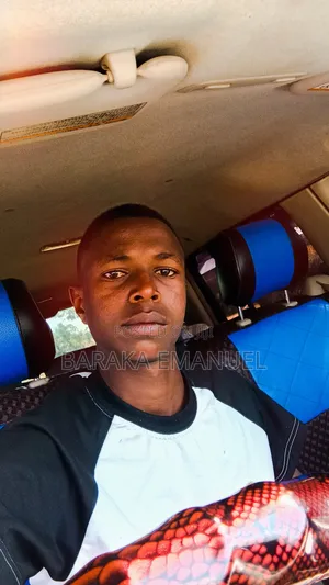 Driver and Mechanical Engineer