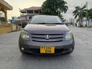 Toyota IST 2004 Gray
