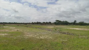 Heka 8 Za Mpunga / Dakawa Morogoro