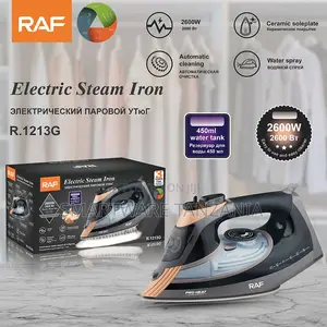 Raf R.1213g Steam Iron 2600w Ceramic Soleplate Auto Clean Gray