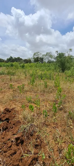10 Acres Land for Sale at Bunju A