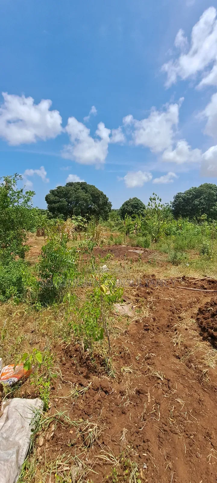 10 Acres Land for Sale at Bunju A