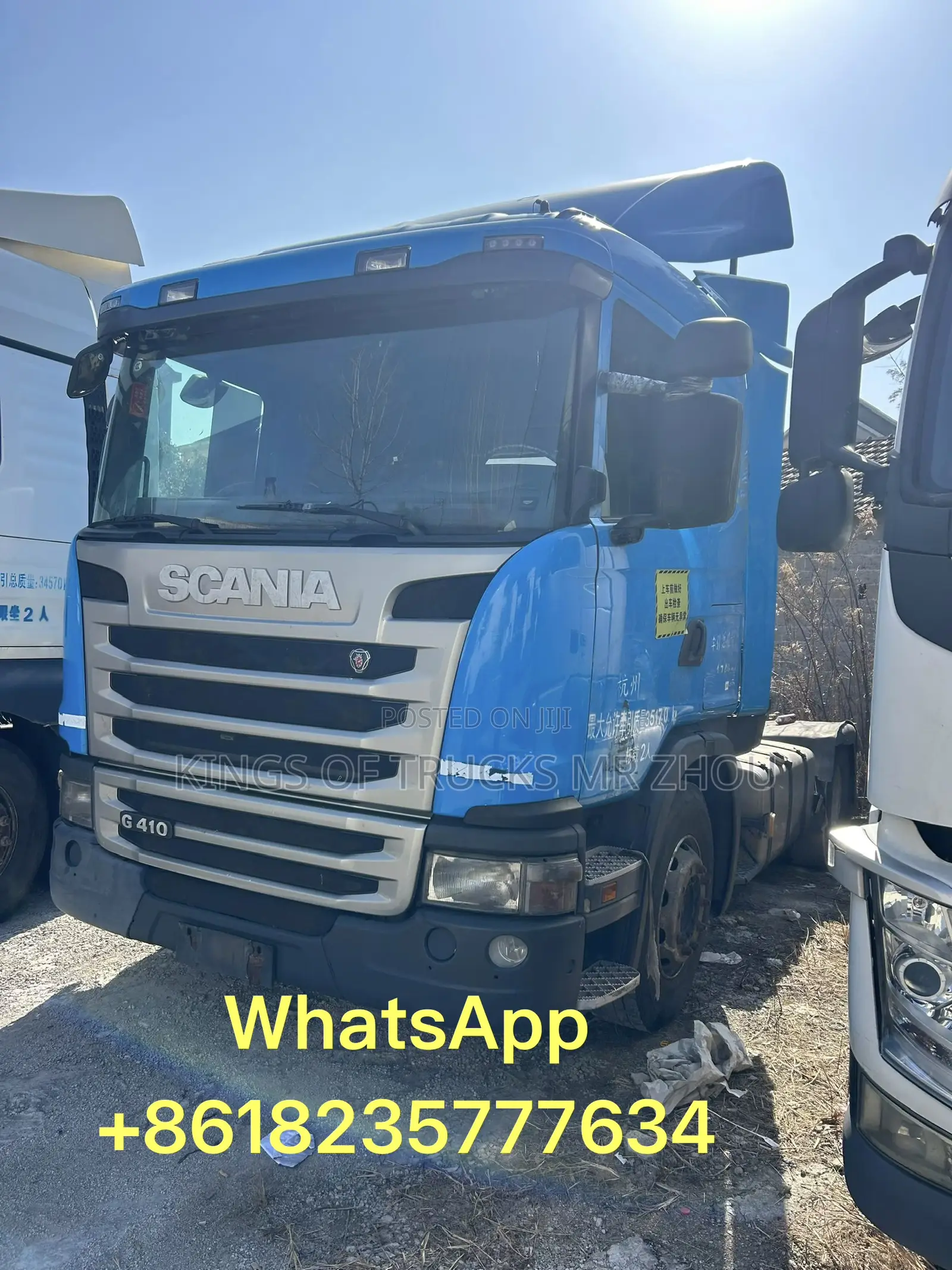 Ready for Order Scania Volvo Man Tractor Horse for Sale