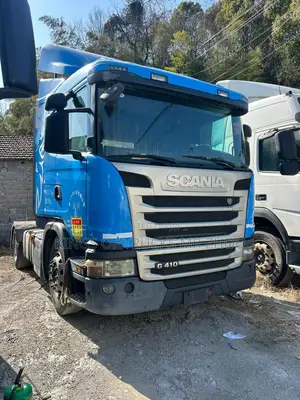 Ready for Order Scania Volvo Man Tractor Horse for Sale