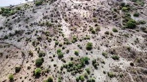 Land for Sale at Lake Manyara Mto Wa Mbu