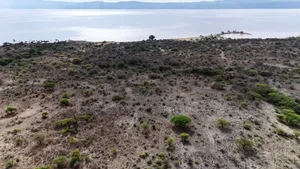 Land for Sale at Lake Manyara Mto Wa Mbu