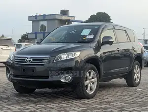 Toyota Vanguard 2008 Gray